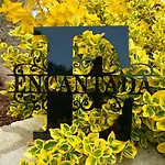 Encantada Nîmes
