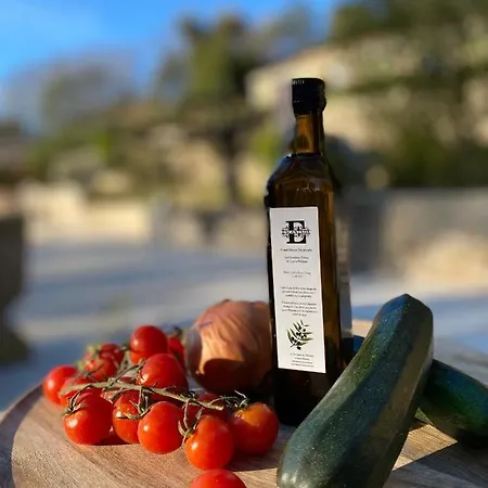 Encantada Homestay *